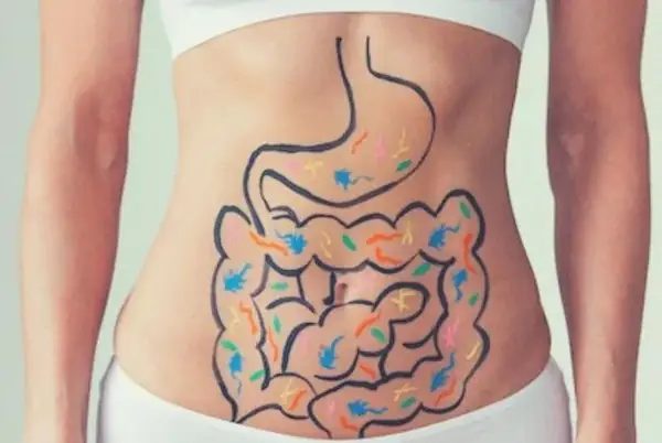 Nhiều Người Tin Rằng Ăn Sữa Chua Ngay Sau Bữa Ăn Có Thể Giảm Cân, Tốt Cho Tiêu Hóa. Điều Này Liệu Có Chính Xác?