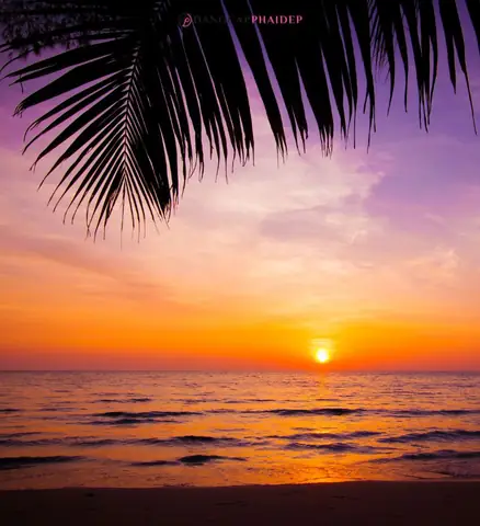 Tia Uv Có Hoạt Động Vào Buổi Tối Không?