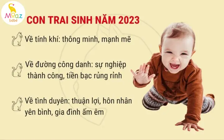 Bé Trai Sinh Năm 2023 Thuộc Bản Mệnh Nào?