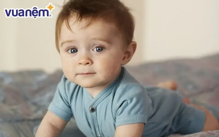 Đặt Tên Con Trai Họ Trầntheo Chữ Cáit