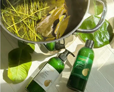 Dầu Gội Bưởi Cocoon Dầu Gội Bưởi Cocoon