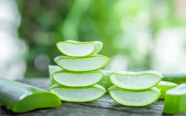 Gel Lô Hội Aloe Vera Có Tác Dụng Gì? Giá Bao Nhiêu? Gel Lô Hội Aloe Vera Có Tác Dụng Gì? Giá Bao Nhiêu?