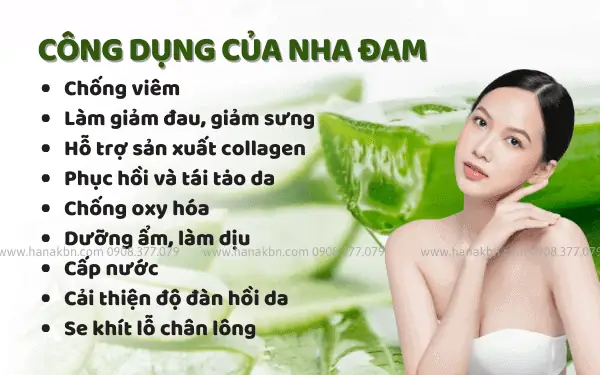 Gel Lô Hội Aloe Vera Có Tác Dụng Gì? Gel Lô Hội Aloe Vera Có Tác Dụng Gì?