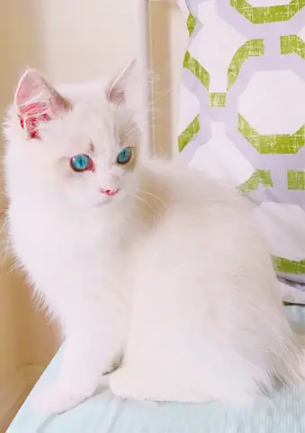 Tải Miễn Phí Hình Ảnh Png, Jpg Hình Ảnh Sắc Nét Tải Miễn Phí Hình Ảnh Png, Jpg Hình Ảnh Sắc Nét