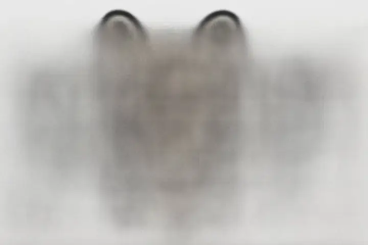 Tranh Tô Màu Phương Tiện Giao Thông Cho Bé – Hình Tô Màu Đường Bộ