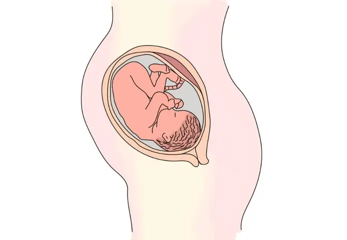 Thai 7 Tháng Là Bao Nhiêu Tuần? Lời Khuyên Dành Cho Mẹ