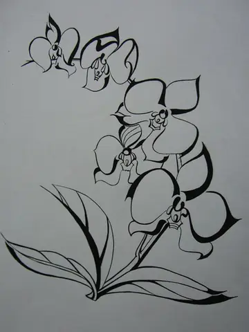 Hình Ảnh Cho Vẽ Hoa Trang Trí Báo Tường Đơn Giản: Hình Ảnh Cho Vẽ Hoa Trang Trí Báo Tường Đơn Giản: