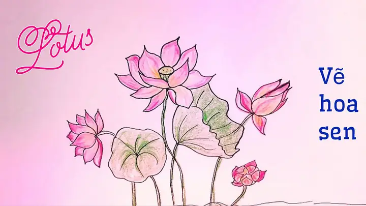 Hình Ảnh Cho Vẽ Hoa Trang Trí Báo Tường Đơn Giản: Hình Ảnh Cho Vẽ Hoa Trang Trí Báo Tường Đơn Giản: