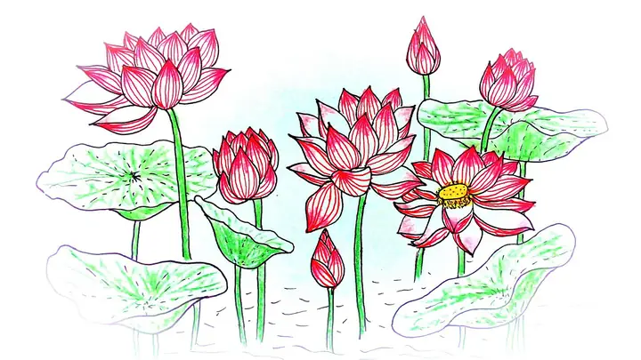 Hình Ảnh Cho Vẽ Hoa Trang Trí Báo Tường Đơn Giản: Hình Ảnh Cho Vẽ Hoa Trang Trí Báo Tường Đơn Giản: