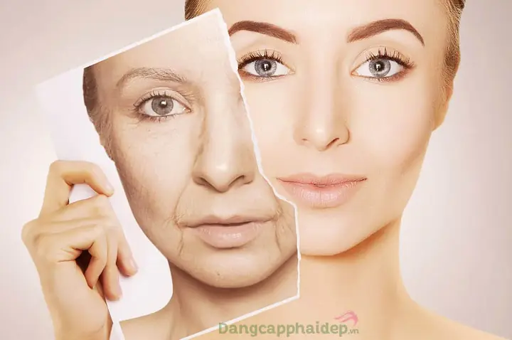 Ngăn Ngừa Da Lão Hóa Sớm