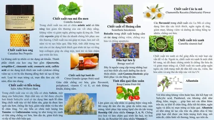 Vì Sao Kem Chống Nắng Của Hocbeauty Được Đánh Giá Cao?