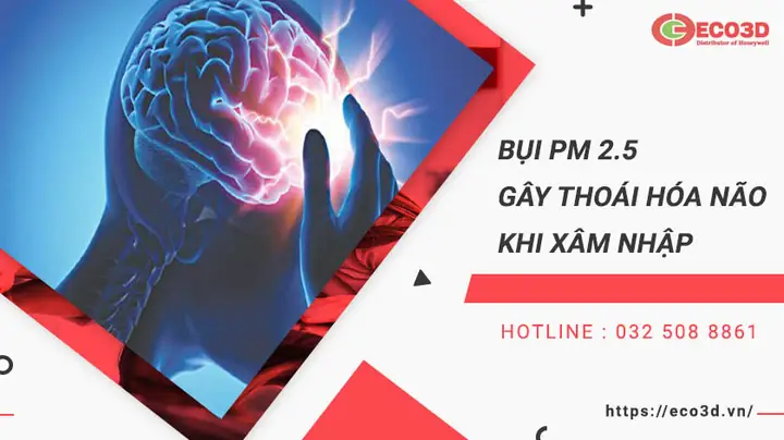 Gây Thoái Hóa Não Khi Xâm Nhập