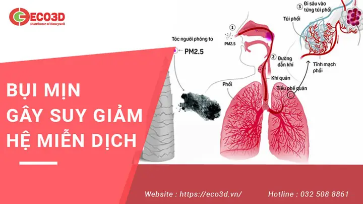 Gây Suy Giảm Hệ Miễn Dịch