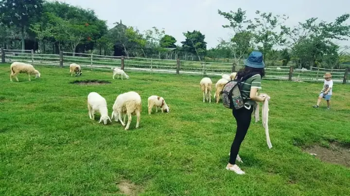 Nông Trại Xanh Củ Chi Nông Trại Xanh Củ Chi