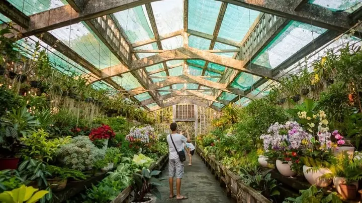 Thảo Cầm Viên Thảo Cầm Viên