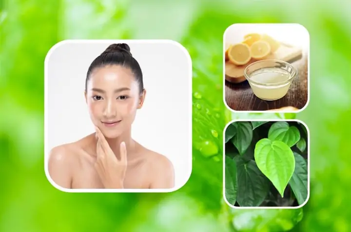 3cách Làm Mặt Nạ Lá Lốt Và Nước Cốt Chanh 3cách Làm Mặt Nạ Lá Lốt Và Nước Cốt Chanh