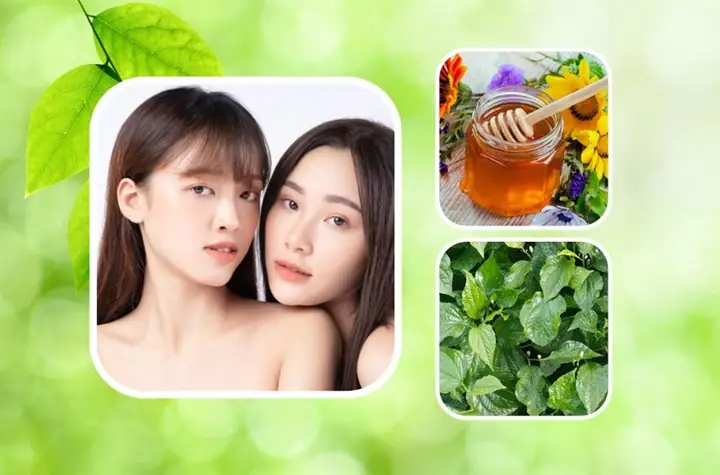 5cách Làm Mặt Nạ Lá Lốt Cùng Mật Ong 5cách Làm Mặt Nạ Lá Lốt Cùng Mật Ong