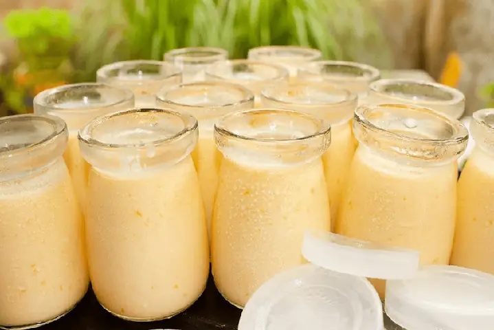 Sữa Chua Mít Cho Bé 6 Tháng Sữa Chua Mít Cho Bé 6 Tháng