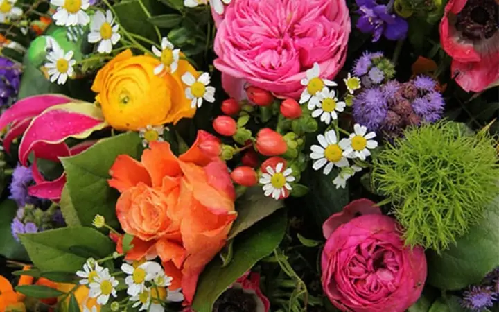 Tên Tiếng Anh Theo Loài Hoa Nghe Cổ Điển: