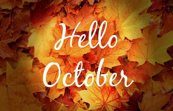 Stt Tháng 10 Về Sự Tĩnh Lặng Và Chiêm Nghiệm Stt Tháng 10 Về Sự Tĩnh Lặng Và Chiêm Nghiệm