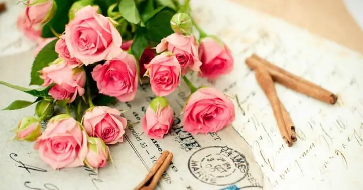 4lời Chúc Ngày Nhà Giáo Việt Nam 20/11 Tặng Thầy, Cô Giáo