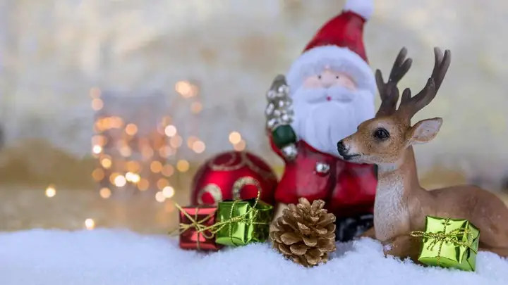 Lời Chúc Giáng Sinh Dành Cho Linh Mục