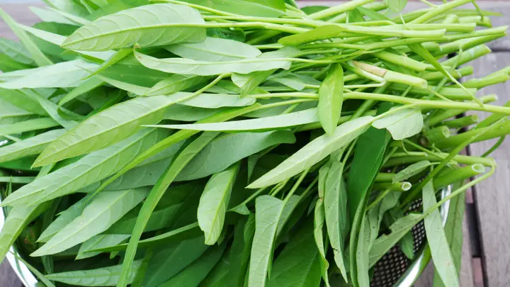 Lợi Ích Của Rau Muống Đối Với Bà Bầu