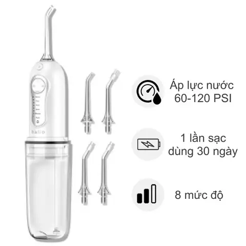 Máy Tăm Nước Cầm Tay Rapido Rwb-300