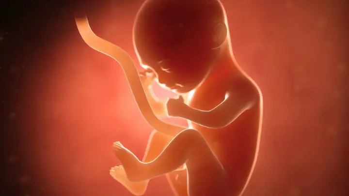 Mấy Tuần Có Phôi Thai? Làm Gì Để Phôi Thai Phát Triển Khỏe Mạnh? Mấy Tuần Có Phôi Thai? Làm Gì Để Phôi Thai Phát Triển Khỏe Mạnh?