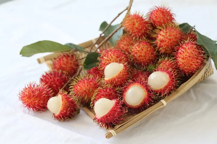 Tốt Cho Da Và Tóc