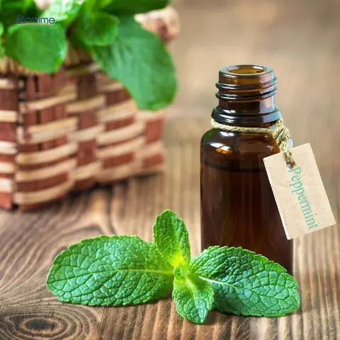 Tinh Dầu Bạc Hà