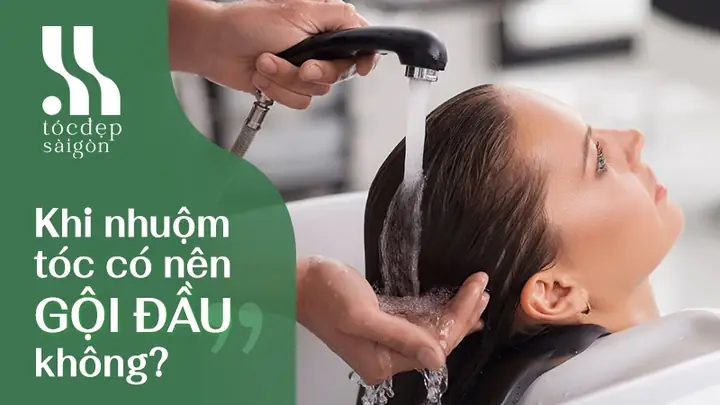 Trước Khi Nhuộm Tóc Có Nên Gội Đầu Hay Không? Trước Khi Nhuộm Tóc Có Nên Gội Đầu Hay Không?