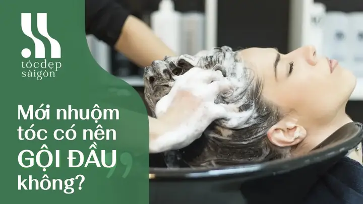 Mới Nhuộm Tóc Có Nên Gội Đầu Không? Mới Nhuộm Tóc Có Nên Gội Đầu Không?