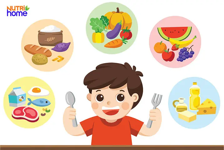 Tăng Chất Dinh Dưỡng Và Năng Lượng Trong Món Ngon Cho Bé 2 Tuổi Biếng Ăn Tăng Chất Dinh Dưỡng Và Năng Lượng Trong Món Ngon Cho Bé 2 Tuổi Biếng Ăn