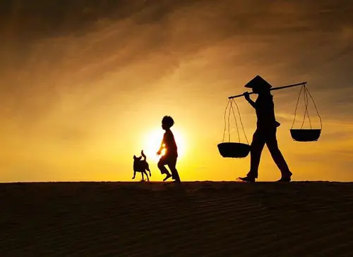 Câu Ca Dao, Tục Ngữ Nói Về Tình Mẫu Tử