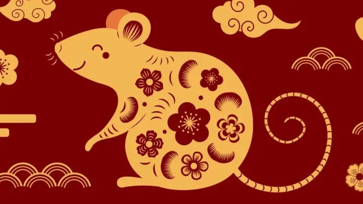 Vận Mệnh Tuổi Tý