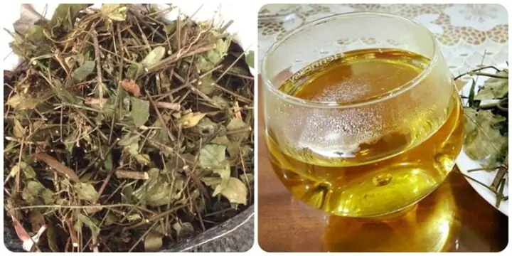 Thời Điểm Uống