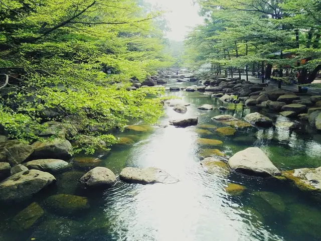 Thã´ng Tin Liãªn Há» : Thã´ng Tin Liãªn Há» :