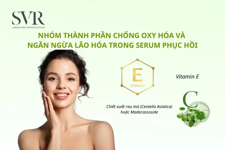 Nhóm Thành Phần Chống Oxy Hóa Và Ngăn Ngừa Lão Hóa Trong Serum Phục Hồi Da