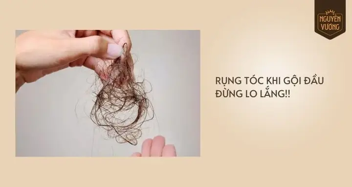 Rụng Tóc Khi Gội Đầu Ở Nam, Bạn Không Cần Quá Lo Lắng! Rụng Tóc Khi Gội Đầu Ở Nam, Bạn Không Cần Quá Lo Lắng!