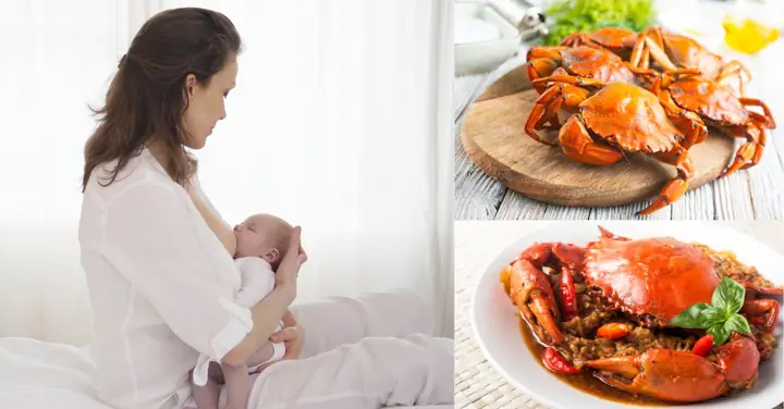 Sau Sinh Ăn Cua Được Không? Cua Đồng Hay Cua Biển Sẽ Tốt Hơn ... Sau Sinh Ăn Cua Được Không? Cua Đồng Hay Cua Biển Sẽ Tốt Hơn ...