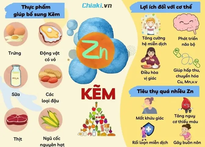 Kẽm - Vi Chất Kích Thích Vị Giác Và Tăng Miễn Dịch Kẽm - Vi Chất Kích Thích Vị Giác Và Tăng Miễn Dịch