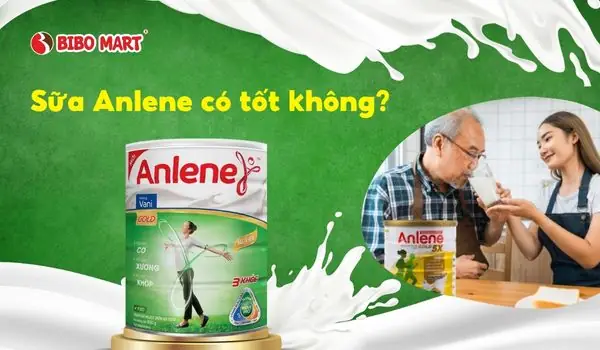Sữa Anlene Có Tốt Không? Ai Nên Dùng Để Hiệu Quả? - Cẩm Nang ...