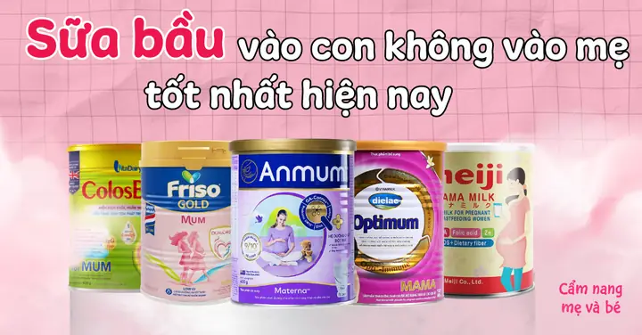 Uống Sữa Bầu Nào Vào Con Nhiều? Top 11 Sữa Bầu Vào Con Không ...