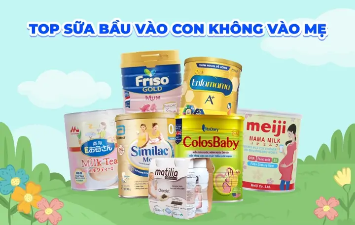 Gợi Ý Mẹ Bầu Top 8 Sữa Bầu Vào Con Không Vào Mẹ Đáng Mua Nhất ...
