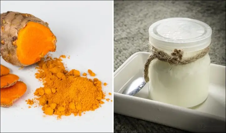 Công Dụng Của Tinh Bột Nghệ Và Sữa Chua Công Dụng Của Tinh Bột Nghệ Và Sữa Chua