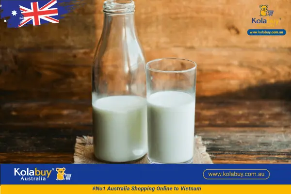 Sữa Bột Ensure Úc Bổ Sung Canxi Cho Người Già Sữa Bột Ensure Úc Bổ Sung Canxi Cho Người Già