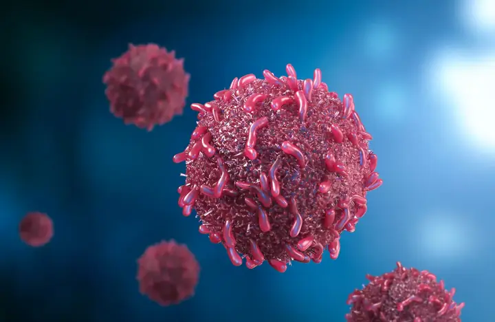 Phòng Ngừa Các Bệnh Ung Thư Phòng Ngừa Các Bệnh Ung Thư