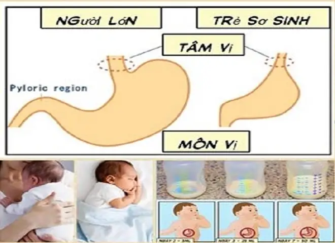 Sữa Tiêu Hoá Trong Bao Lâu Sữa Tiêu Hoá Trong Bao Lâu