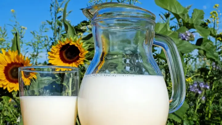 Bầu 3 Tháng Đầu Có Nên Uống Sữa Tươi Không? Một Số Lưu Ý Khi Bà ...